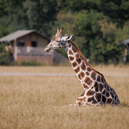 马里博 Knuthenborg Safaripark酒店 外观 照片