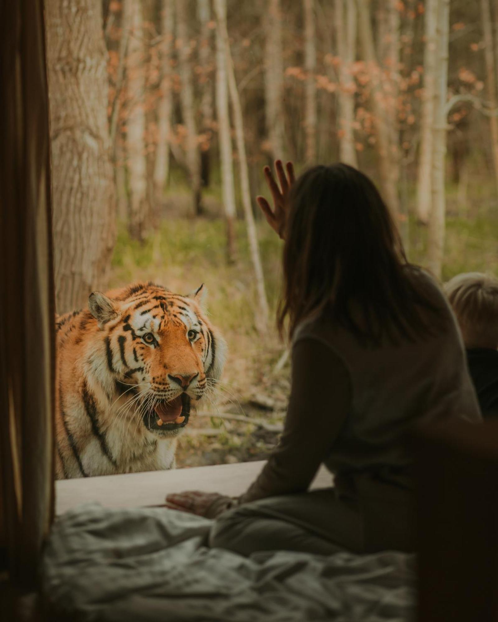马里博 Knuthenborg Safaripark酒店 外观 照片