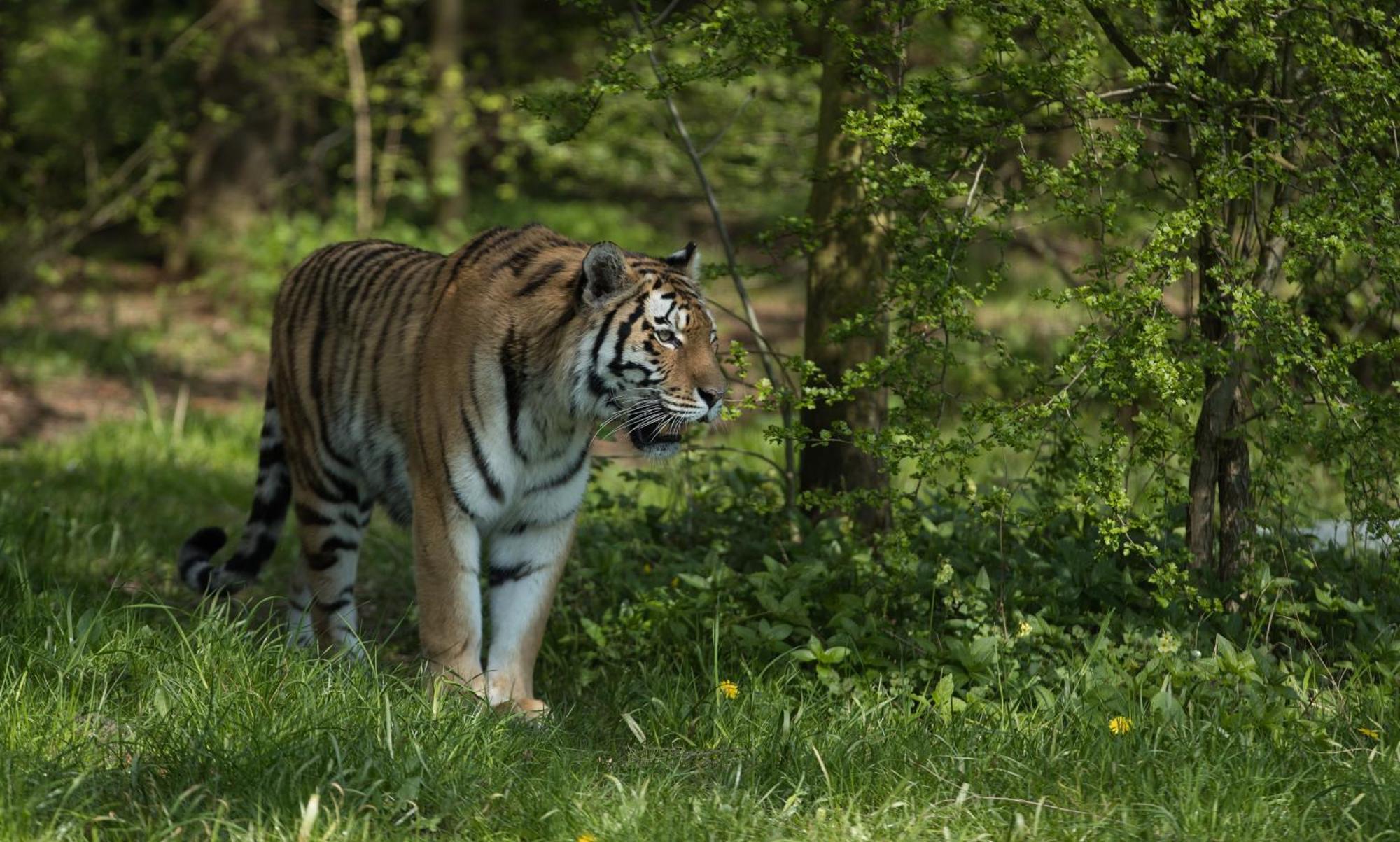 马里博 Knuthenborg Safaripark酒店 外观 照片