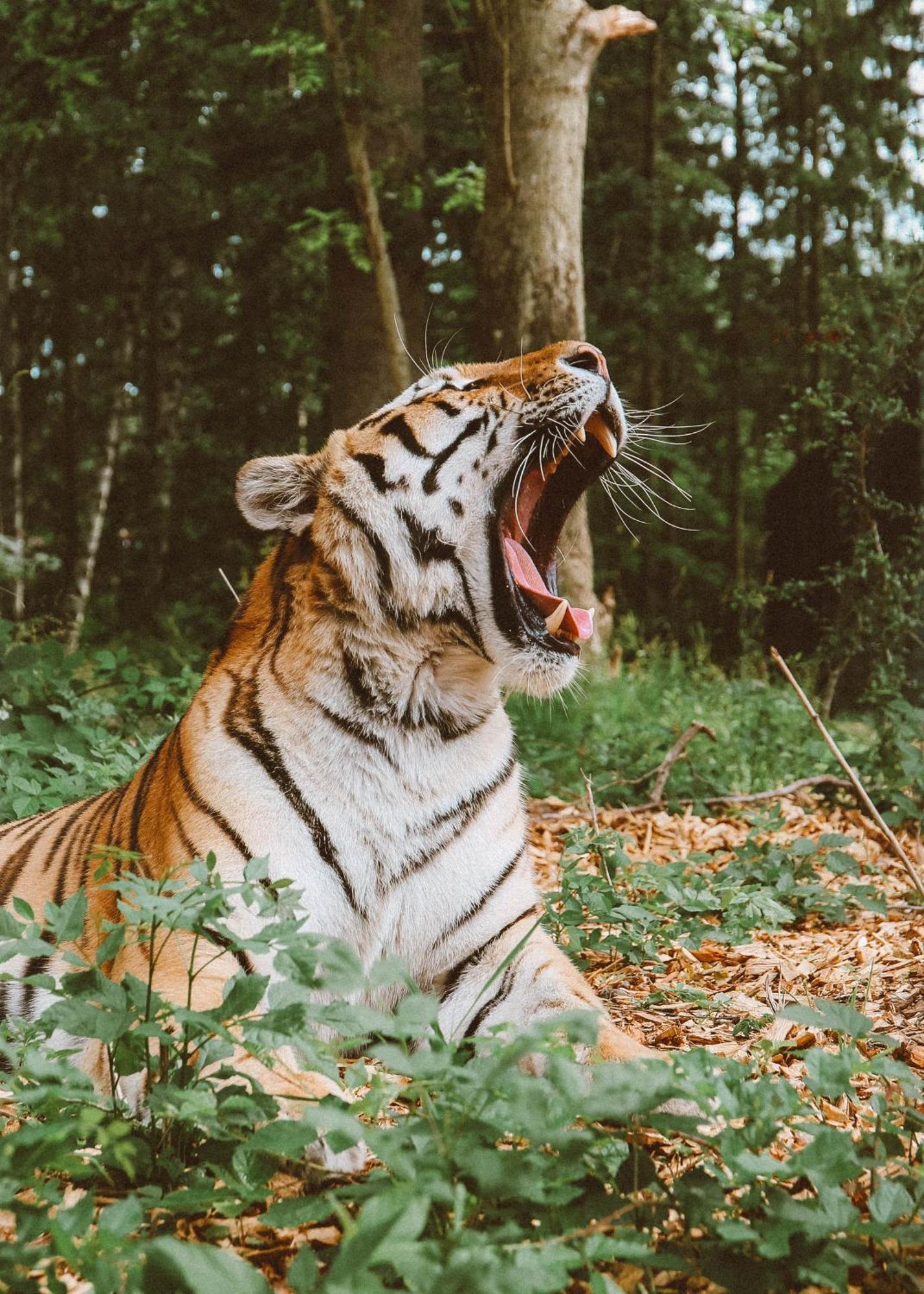 马里博 Knuthenborg Safaripark酒店 外观 照片