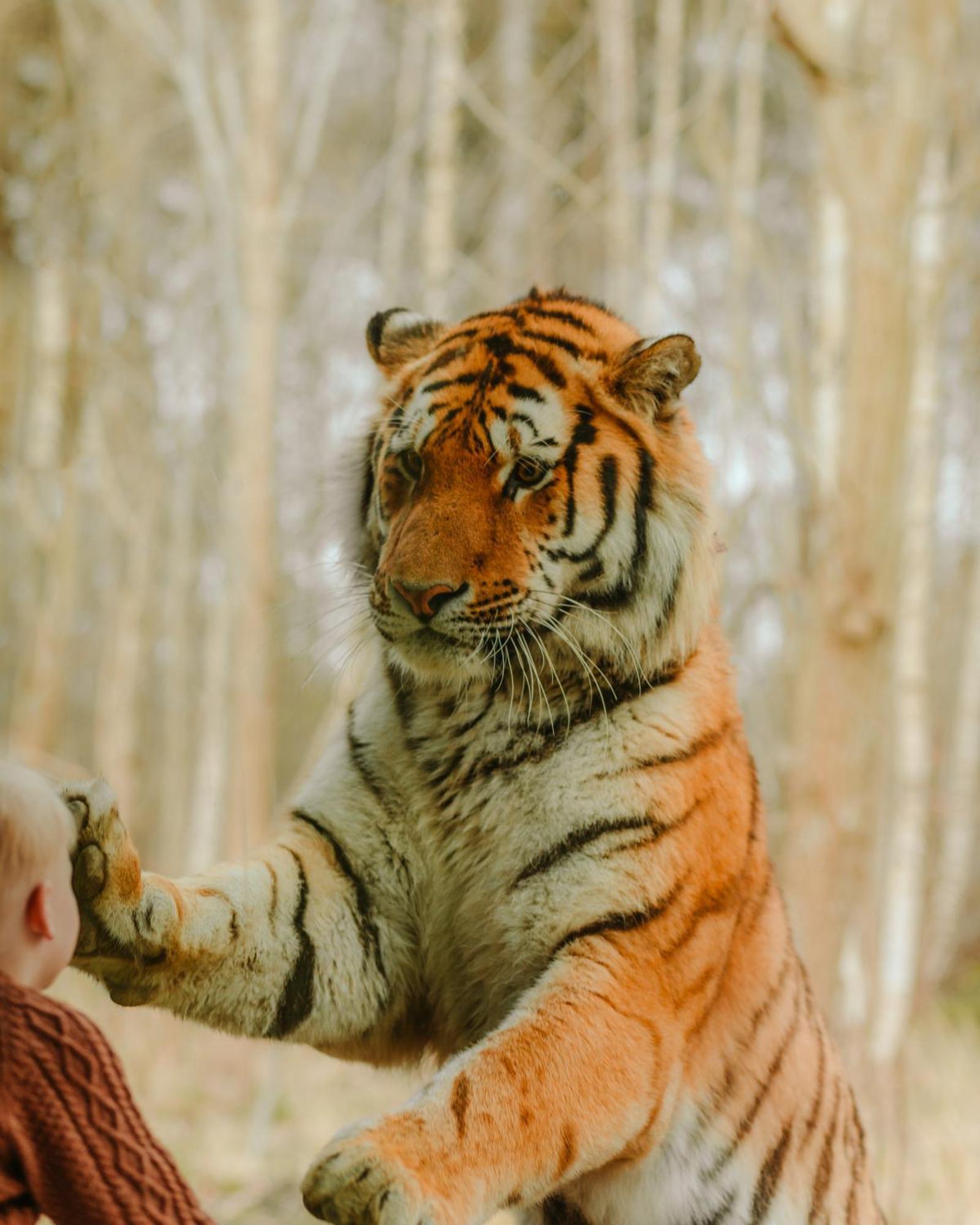 马里博 Knuthenborg Safaripark酒店 外观 照片