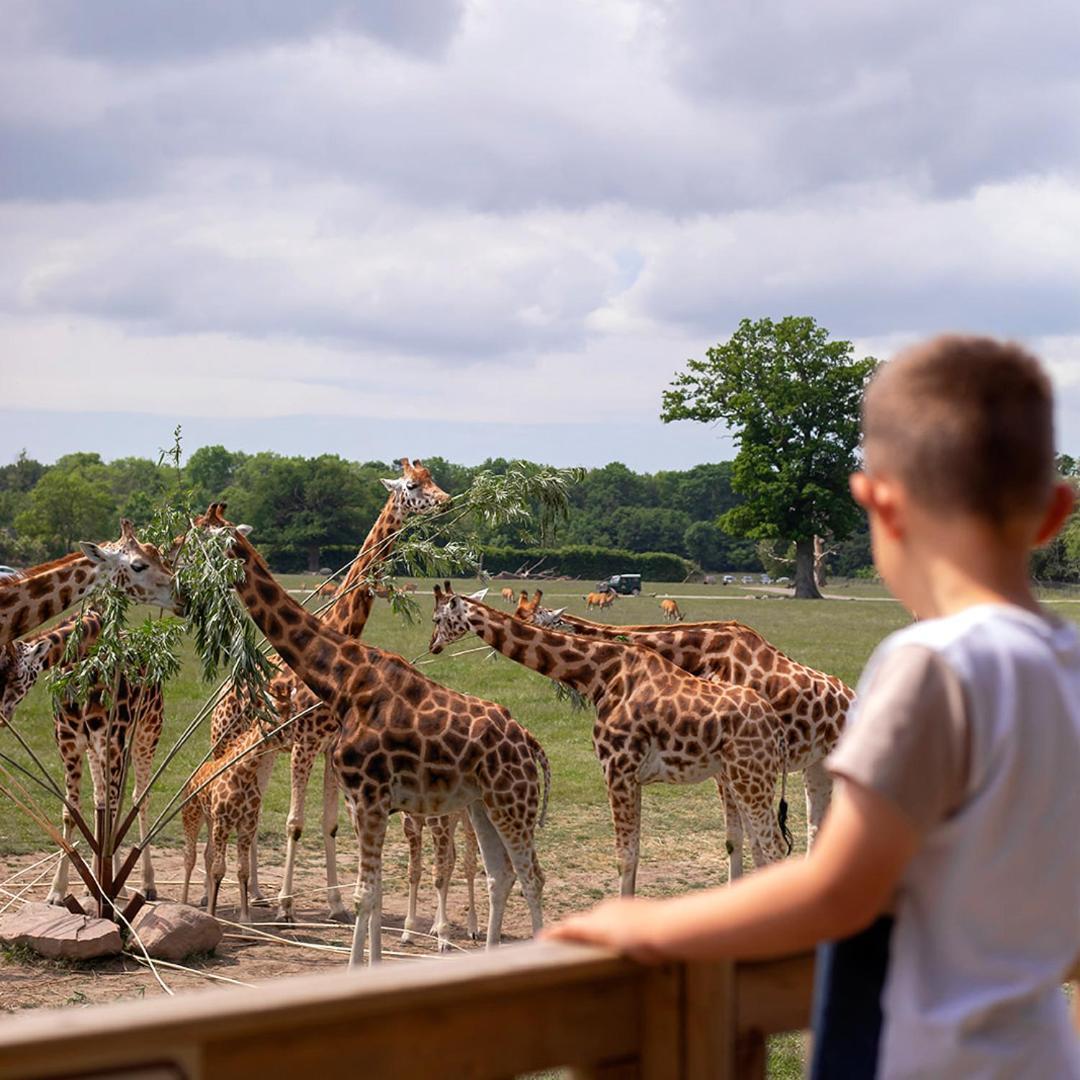马里博 Knuthenborg Safaripark酒店 外观 照片