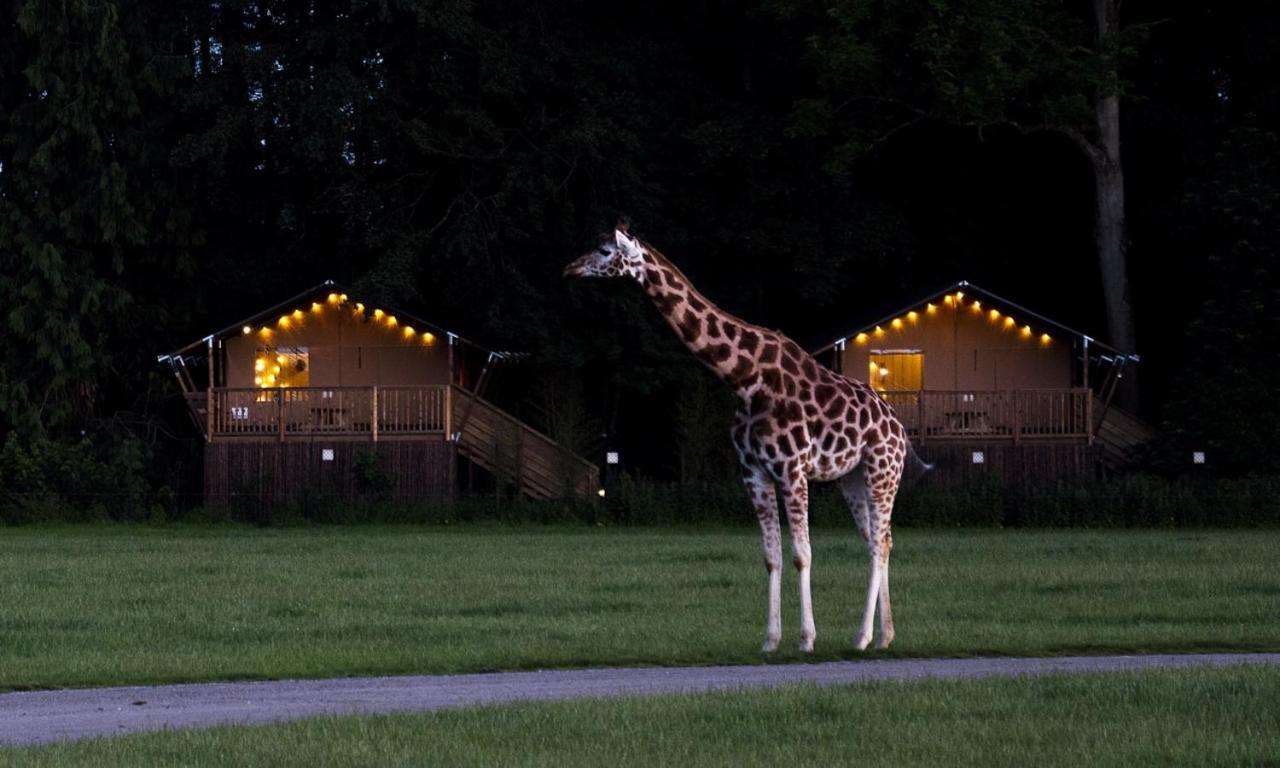 马里博 Knuthenborg Safaripark酒店 外观 照片