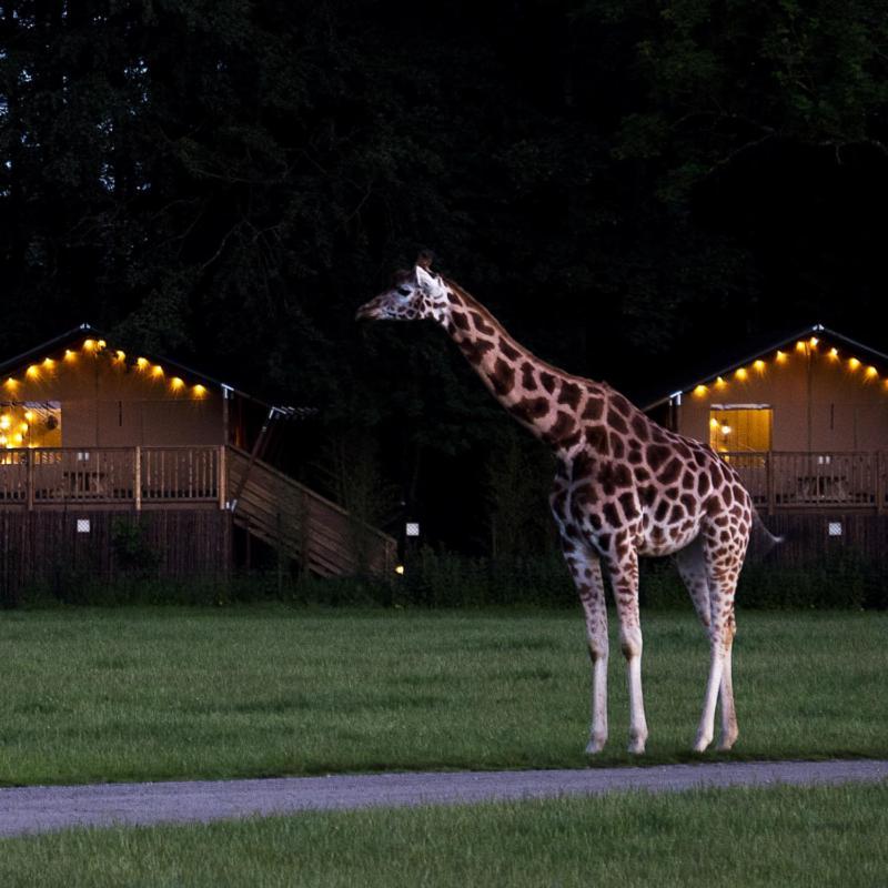 马里博 Knuthenborg Safaripark酒店 外观 照片