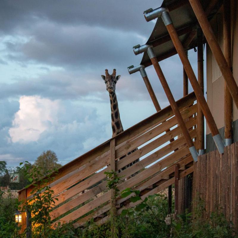 马里博 Knuthenborg Safaripark酒店 外观 照片